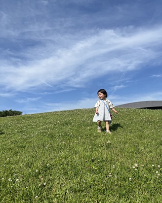 カームグリーンのイメージ