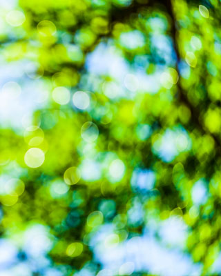 ハーバルバランスのイメージ