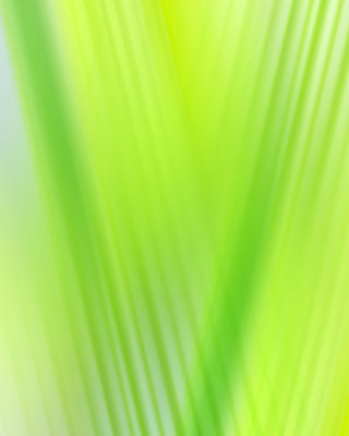 サニースパークのイメージ